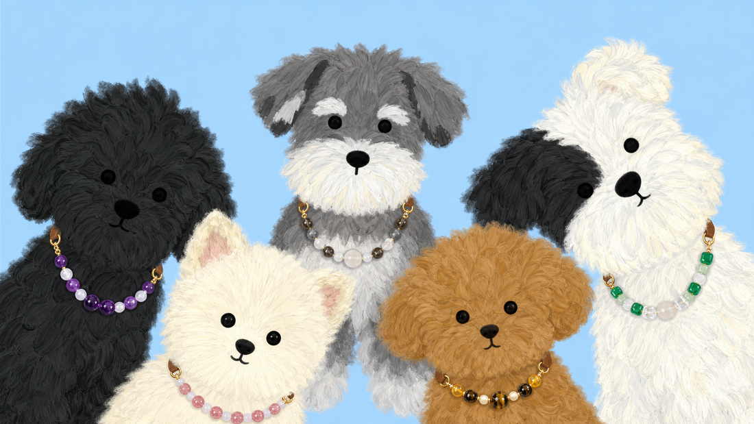 Illustrated dogs wearing PrismTail crystal collars including rose quartz, amethyst, tiger's eye, and green selenite