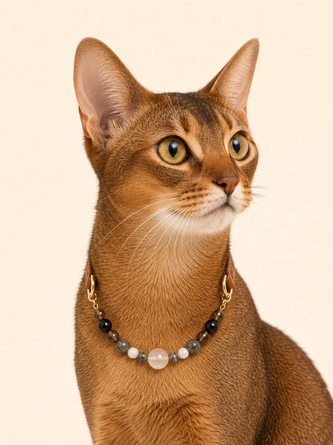 Abyssinian cat wearing PrismTail Black Obsidian crystal collar – natural black stone cat jewelry