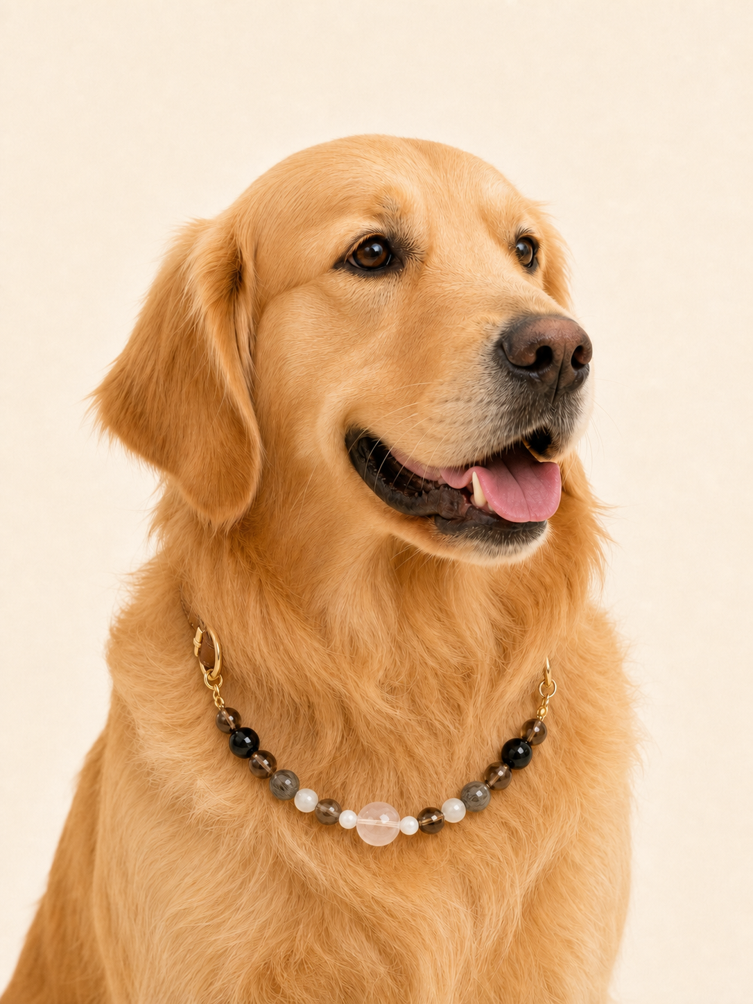 Golden retriever wearing PrismTail Black Obsidian crystal collar – natural black stone dog jewelry