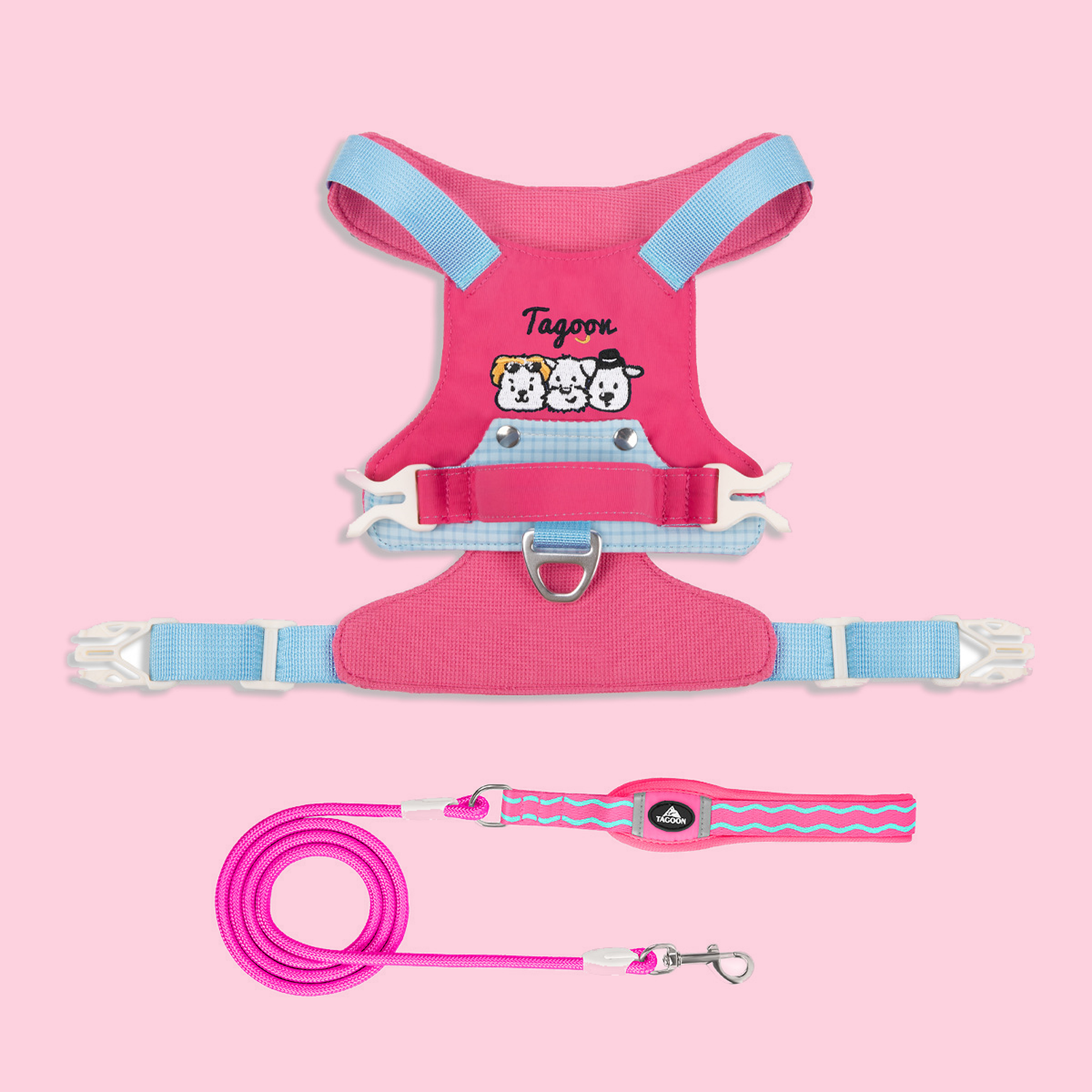 Pink and blue dog harness and leash set, flat lay