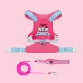 Pink and blue dog harness and leash set, flat lay