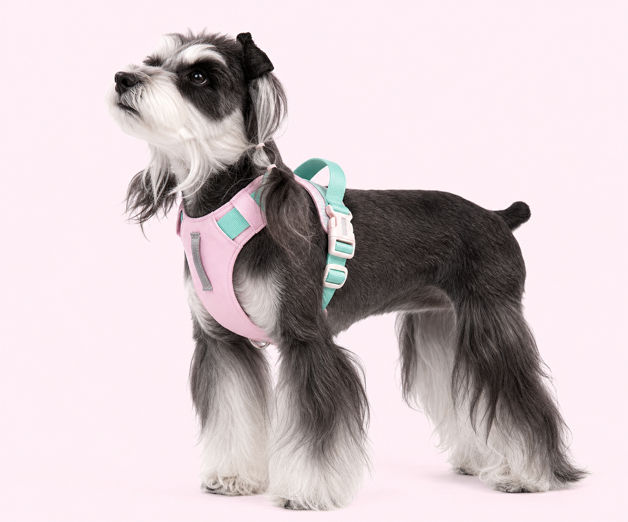 Dog wearing a pink and mint step-in harness, side view