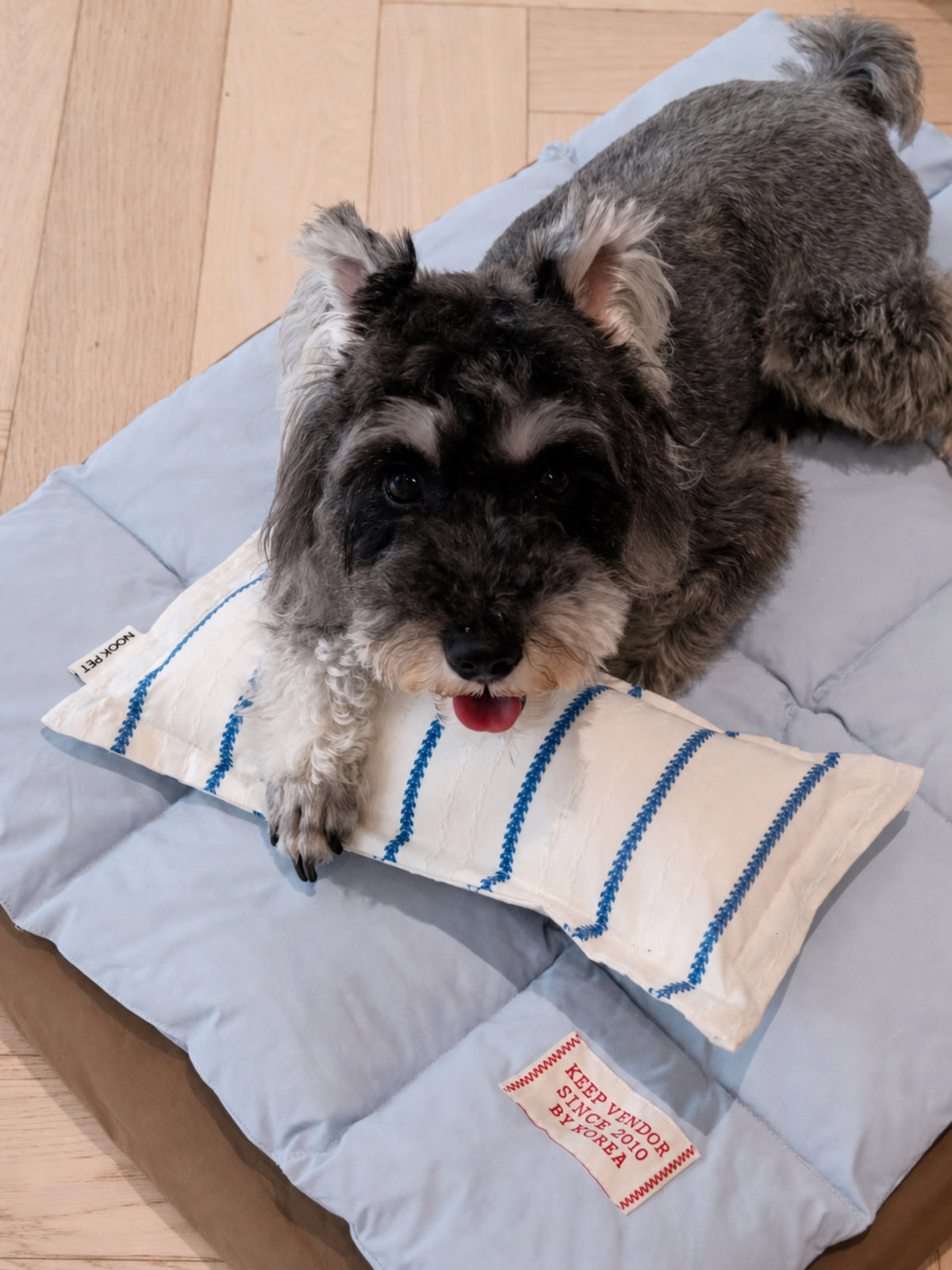 Schnauzer resting on PrismTail Drift Bed cloud pet bed in Misty Light Blue