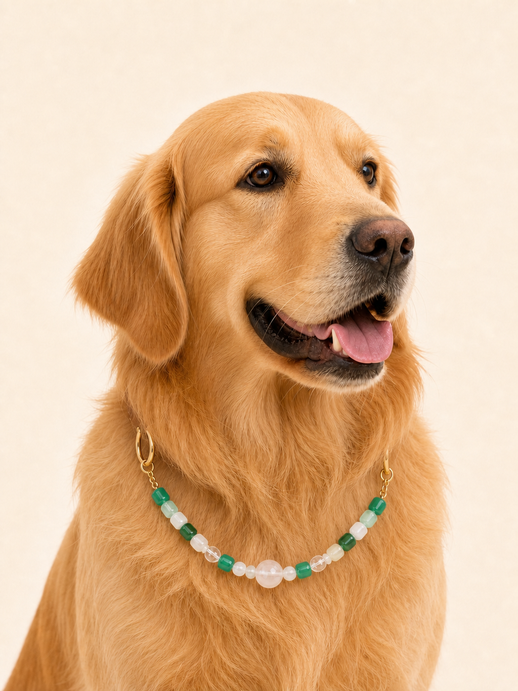 Golden retriever wearing PrismTail Green Selenite crystal collar – natural green stone dog jewelry