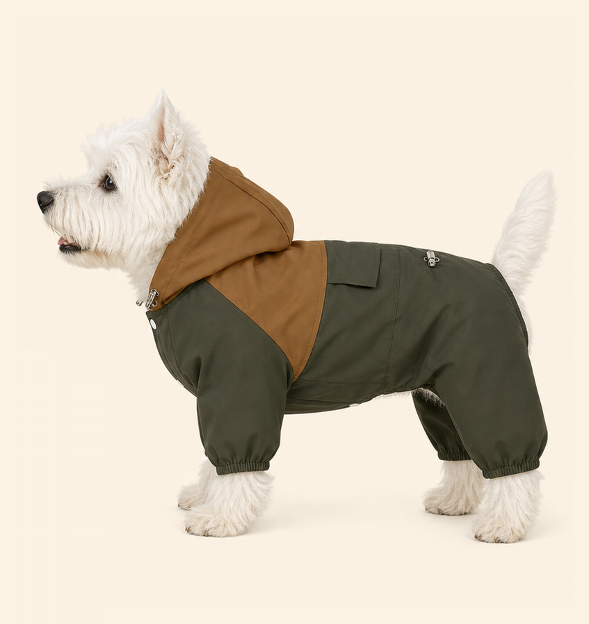 Dog wearing a PrismTail waterproof raincoat, side view