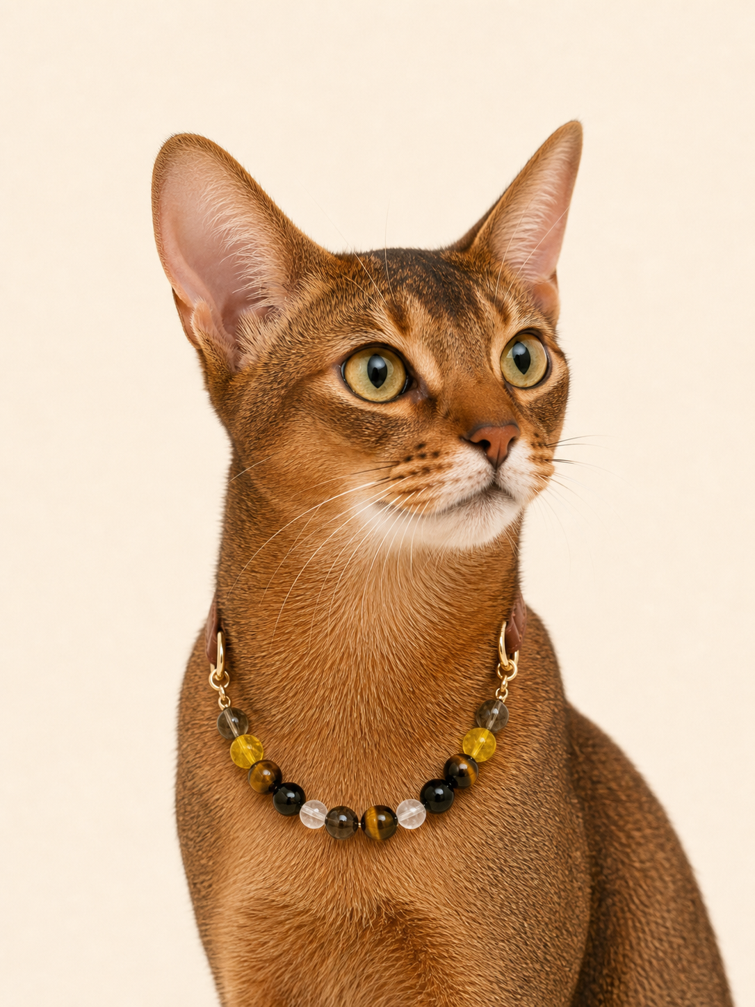 Abyssinian cat wearing PrismTail Tiger's Eye crystal collar – natural golden stone cat jewelry